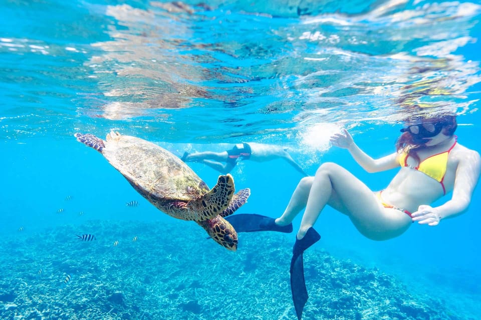 Snorkeling in crystal-clear waters at Coco Island Snorkeling in crystal-clear waters at Coco Island