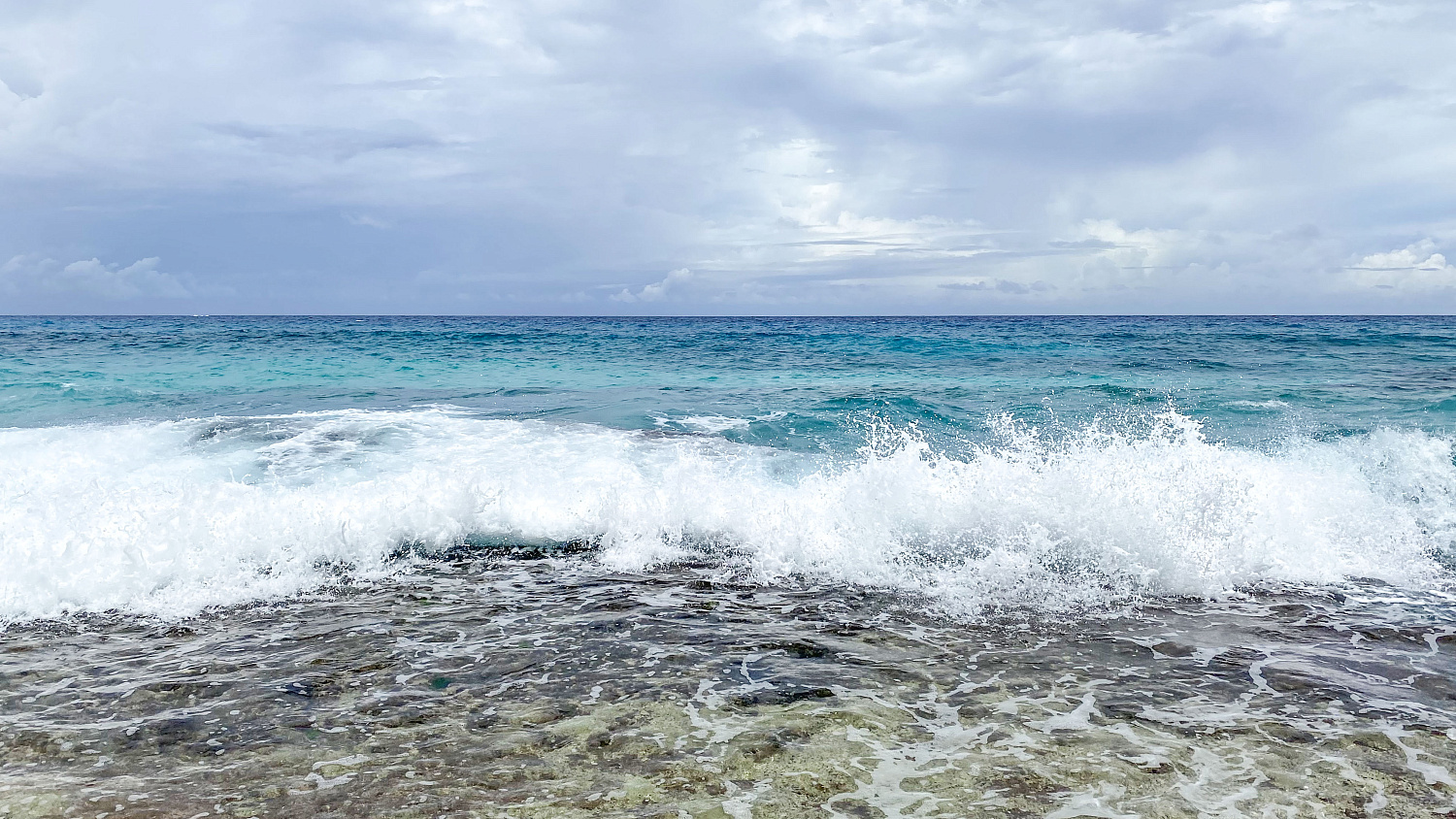 Discover Police Bay Beach: Seychelles’ Secluded Tropical Paradise